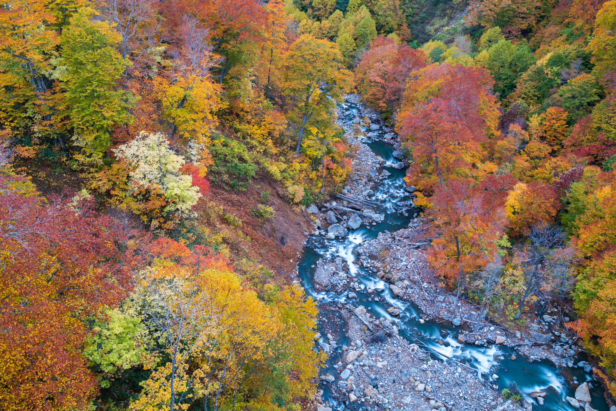 銀河旅行社｜包車旅遊推薦｜Aerial Autumn Forest River Japan